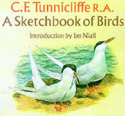 Sketchbook birds c f - sketchbook, of