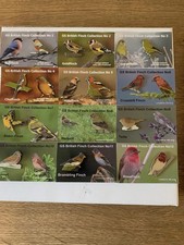 None RSPB Badges GS Collection