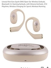 Linsoul Kiwi Ears Spark OWS