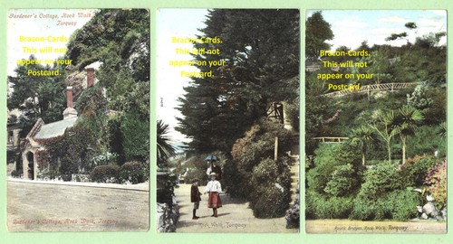 J226 devon three postcards - [j226],