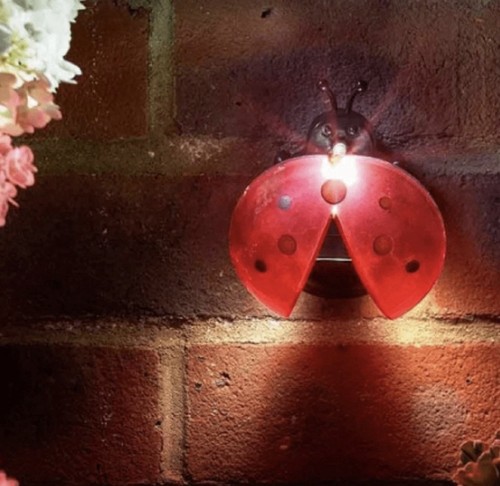 Smart solar ladybird ladybug - smart,