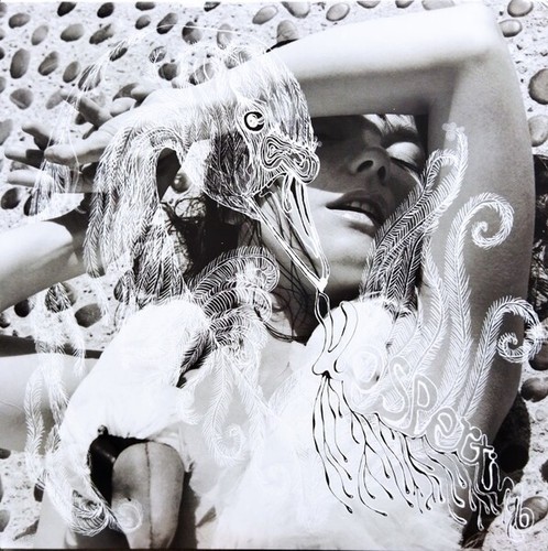 Björk vespertine double 180 - vespertine,