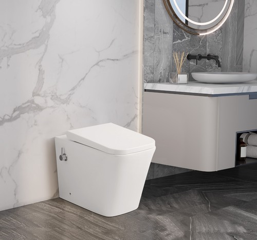 Bidet toilet back to - bidet,