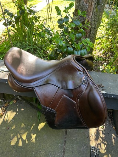 saddle