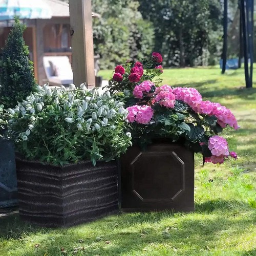 Idealist lite chelsea flower - chelsea,