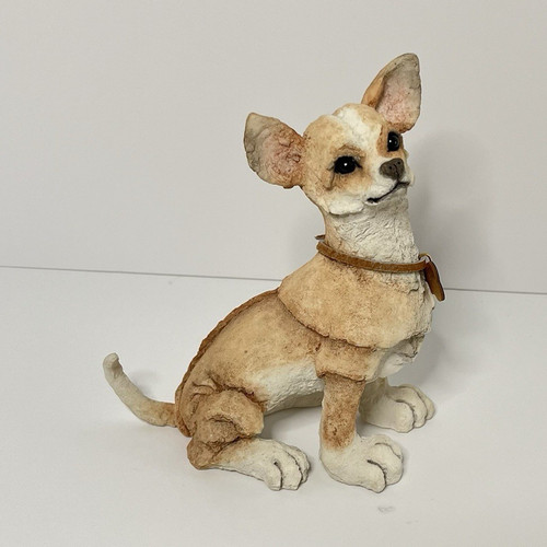 Breed apart chihuahua - breed,
