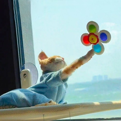 3pcs cat bath toys spinning - bath,