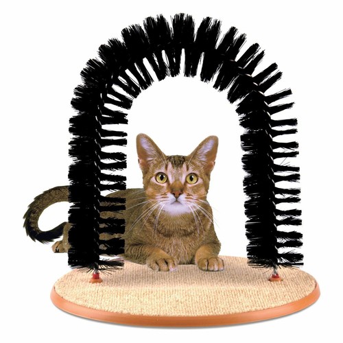 Cat kitten pet scratching - &,