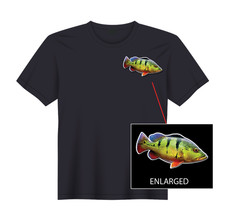 Peacock Bass Fishing Florida