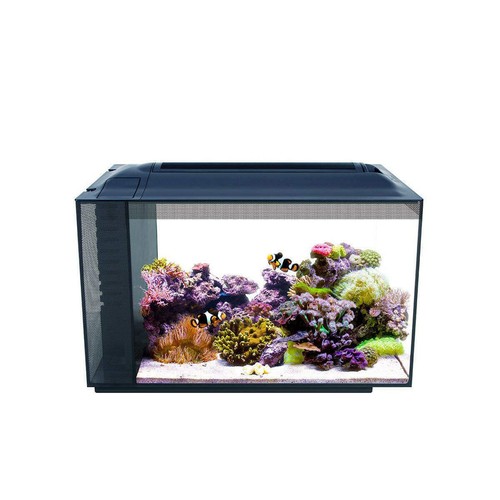 Fluval sea evo - sea, 52l