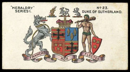 Taddy heraldry - -,