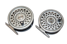 2 Hardy Marquis #6 and Hardy