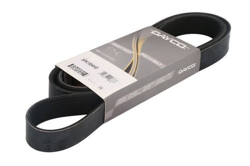 Multi ribbed belt fits daf - multi,