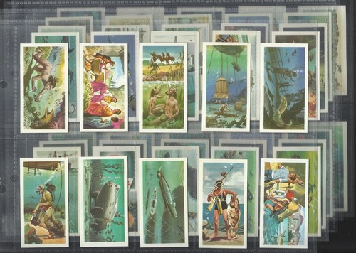 Year old vintage - set, 50
