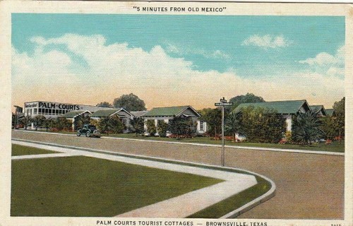 Postcard palm courts - palm,
