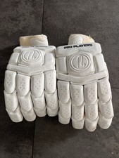 Lorimers cricket pro - pro, players