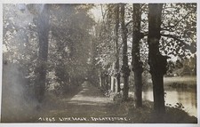 Lime Walk Ingatestone, Essex, Vintage Postcard