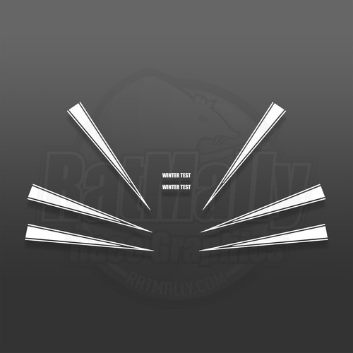 Kawasaki style winter - , test