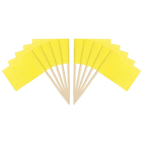 100 pcs flag - 100, toothpicks