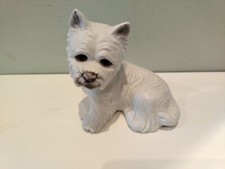Regency Fine Arts Westie West Highland Terrier Dog Puppy Ornament Figurine