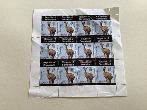 Klipspringer antelope mint - klipspringer,
