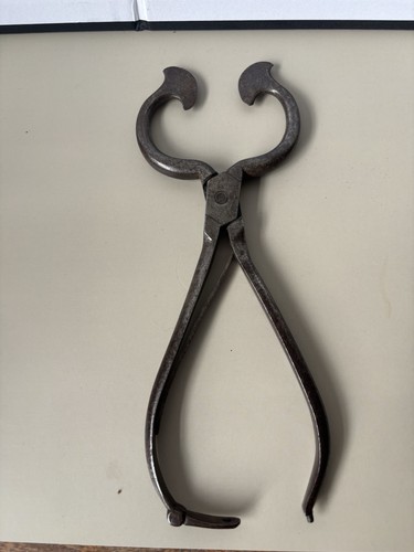 Antique georgian iron sugar - georgian,