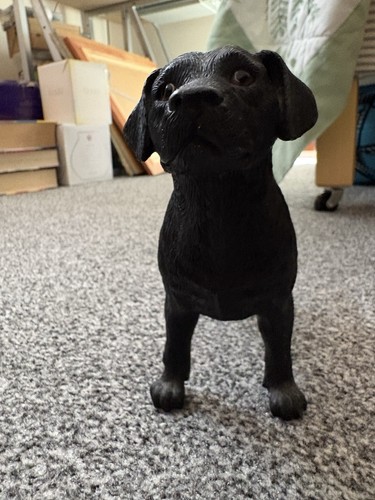 Small realistic black labrador - black,