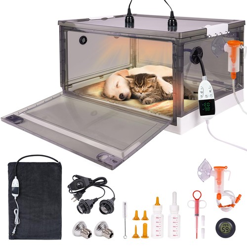 Puppy incubator with - puppy, heating