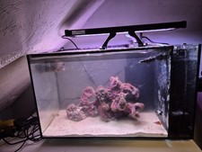 Fluval 10531 Sea EVO Marine