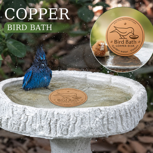 Bird bath copper disk for - bath,