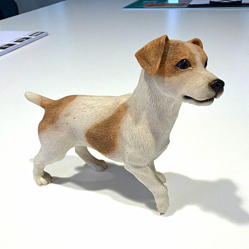 Leonardo jack russell - leonardo,