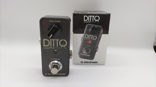 Electronic looper ditto - tc,