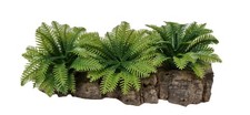 Plastic Vivarium Plant,Small Boston Ferns Mounted On Cork bark