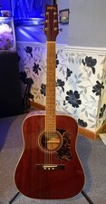 Washburn acoustic guitar - washburn,