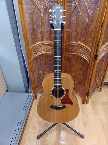Taylor mini electric - gs,