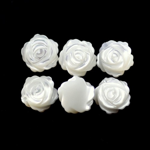 Rose cream white sea - rose,