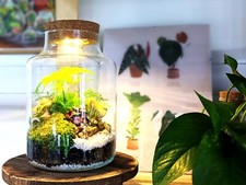 Diy tall light closed - tall,