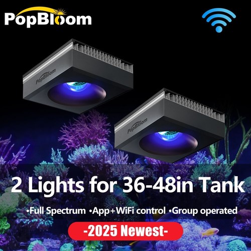 Popbloom 2pcs rl90 full - popbloom,