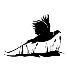 Pheasant Country Gamekeeper