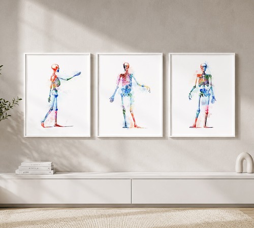 Skeleton wall art - skeleton,