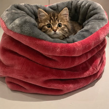 Dog/cat bed, chihuahua snuggle
