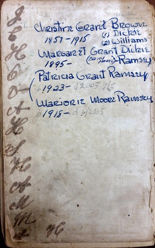 Brown family bible - brown,