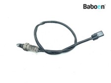 Oxygen Sensor KTM 1090