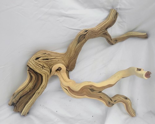 Manzanita driftwood wall - manzanita,