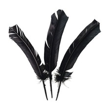 Turkey Feather, 10-12 inch, Pack of 3