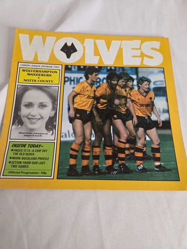 Wolverhampton wanderers wolves - wolverhampton,