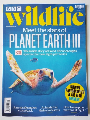 Bbc wildlife magazine november - wildlife,