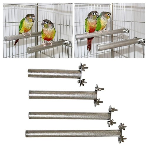Bird teeth grinder - teeth,