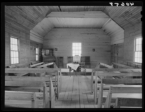Photo cedar grove north - photo:cedar,