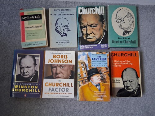 Winston churchill book - winston,